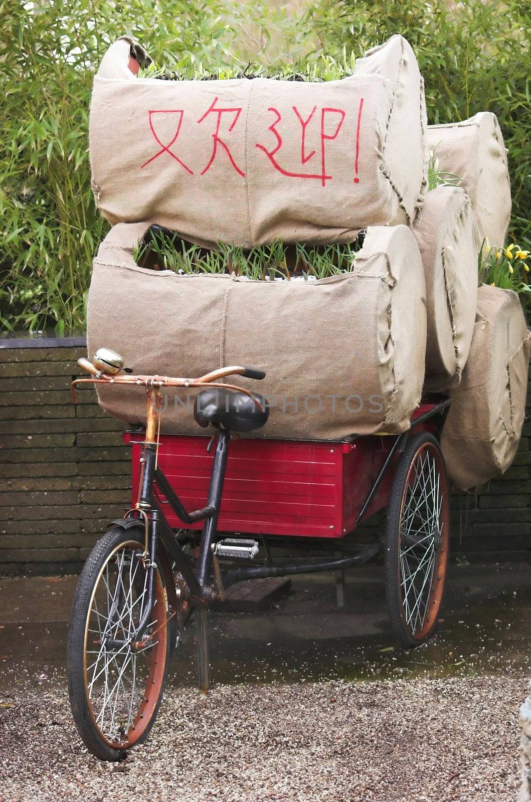 trolley bicycle for transporting flowers on exhibition in Holland