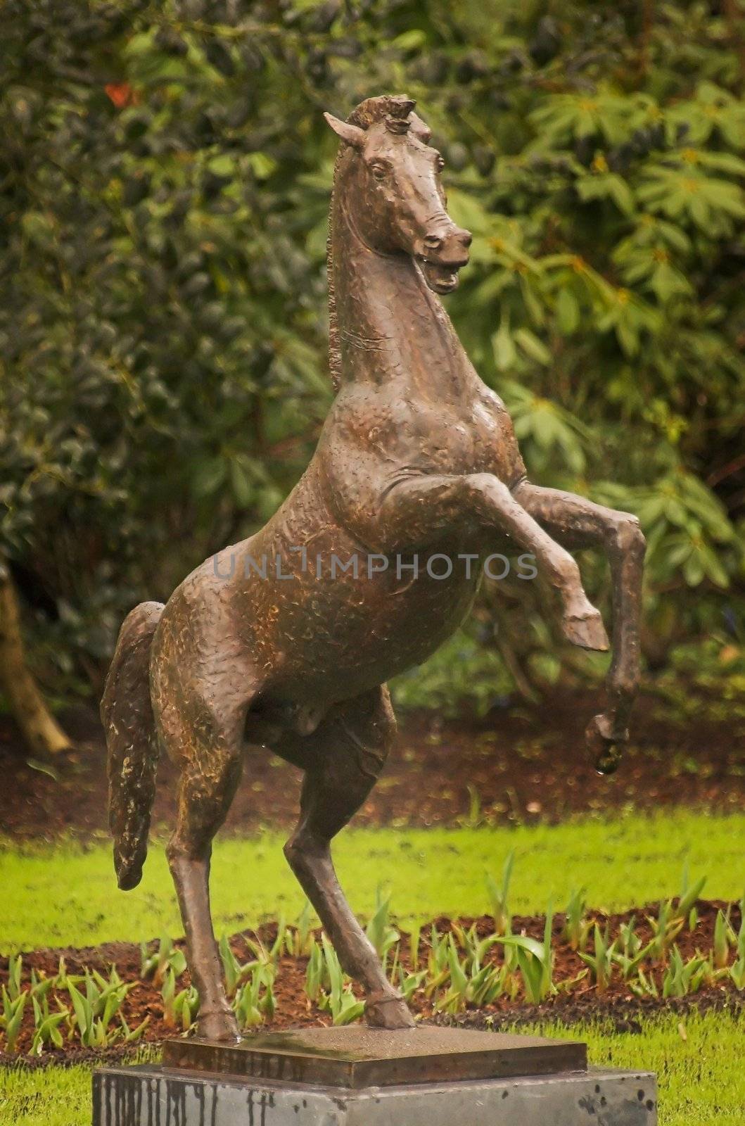 Statue of a horse standing on it's back legs in a park