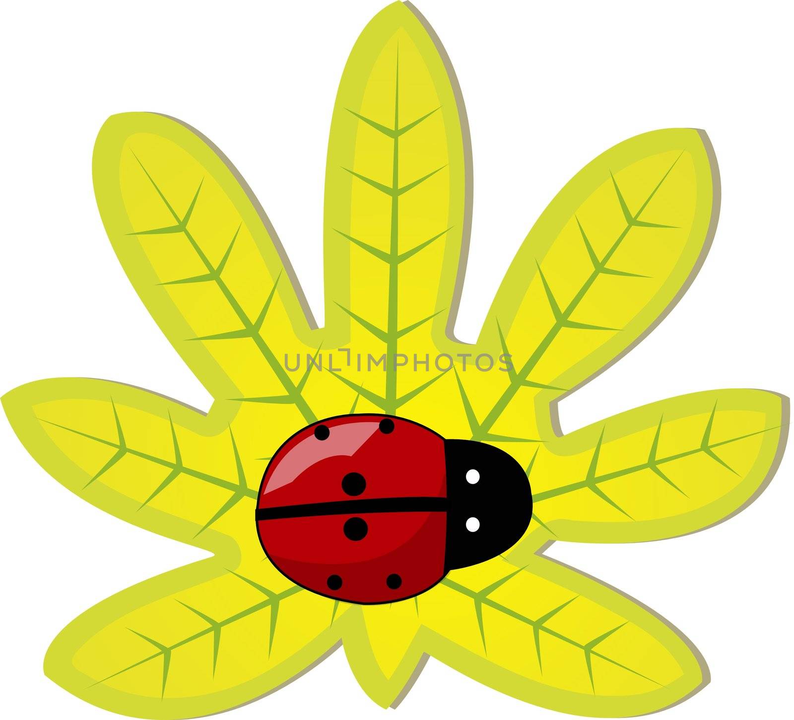 Ladybug on a  yellow leaf - Vector illustration
