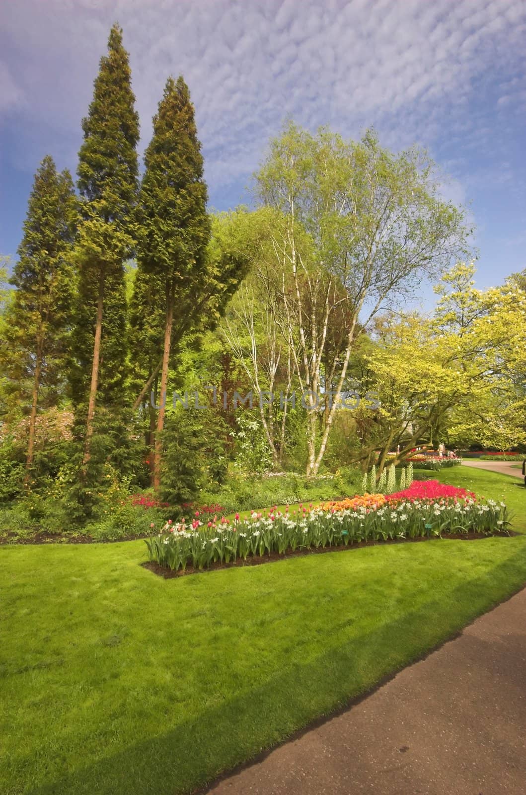 Flowery field of different kinds of flowers in Spring in the exhibition in Keukenhof