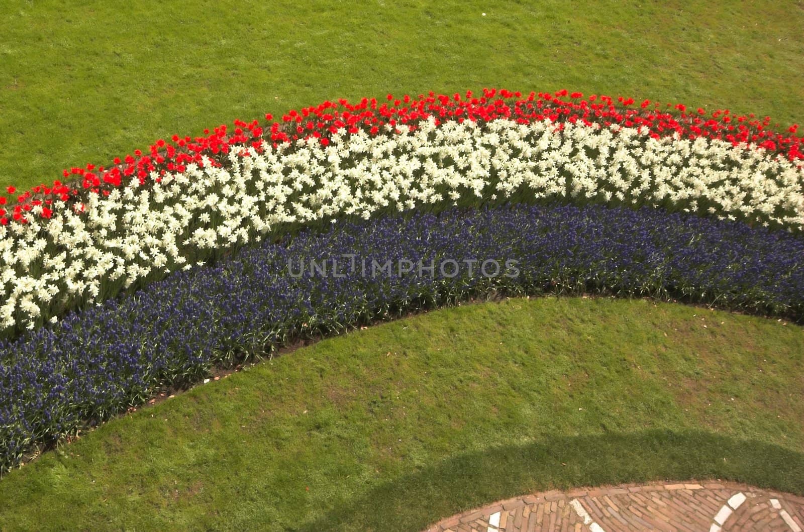 Flowery field of different kinds of flowers in Spring in the exhibition in Keukenhof