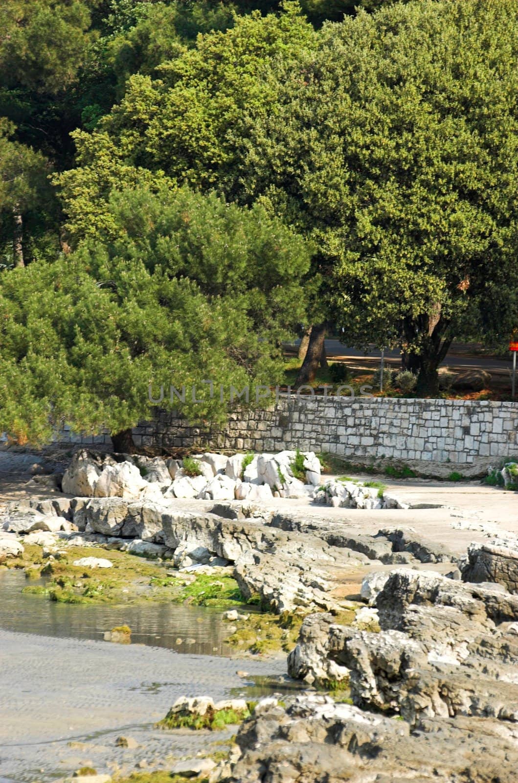 Rocky beach in Istria, croatian coast