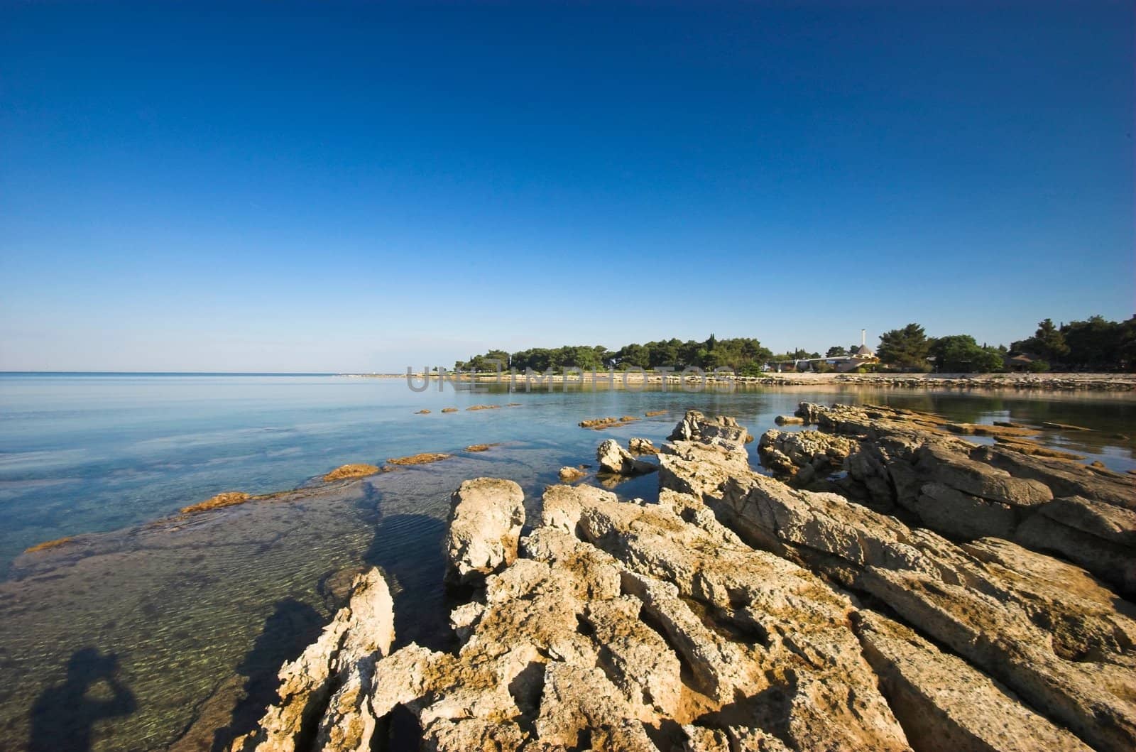 Croatian coast in the region of Umag