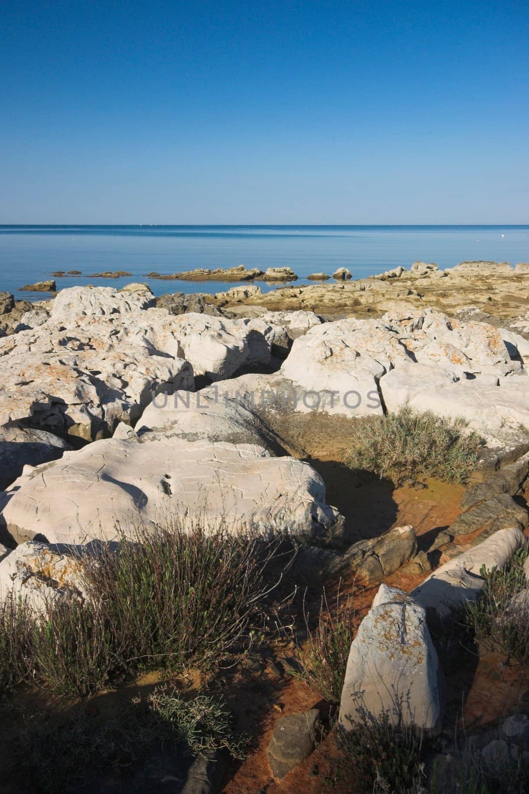 Rocky croatian beach in the area of Umag, Adriatic sea