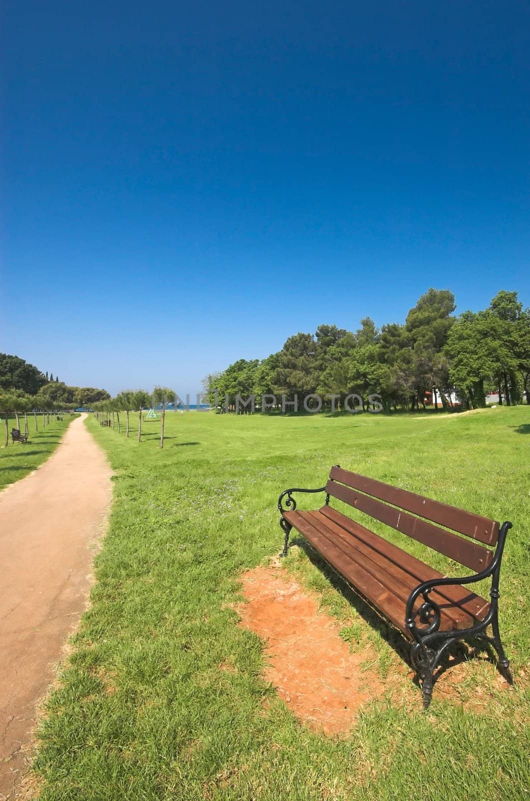 Wooden bench standing on an alley in croatian park