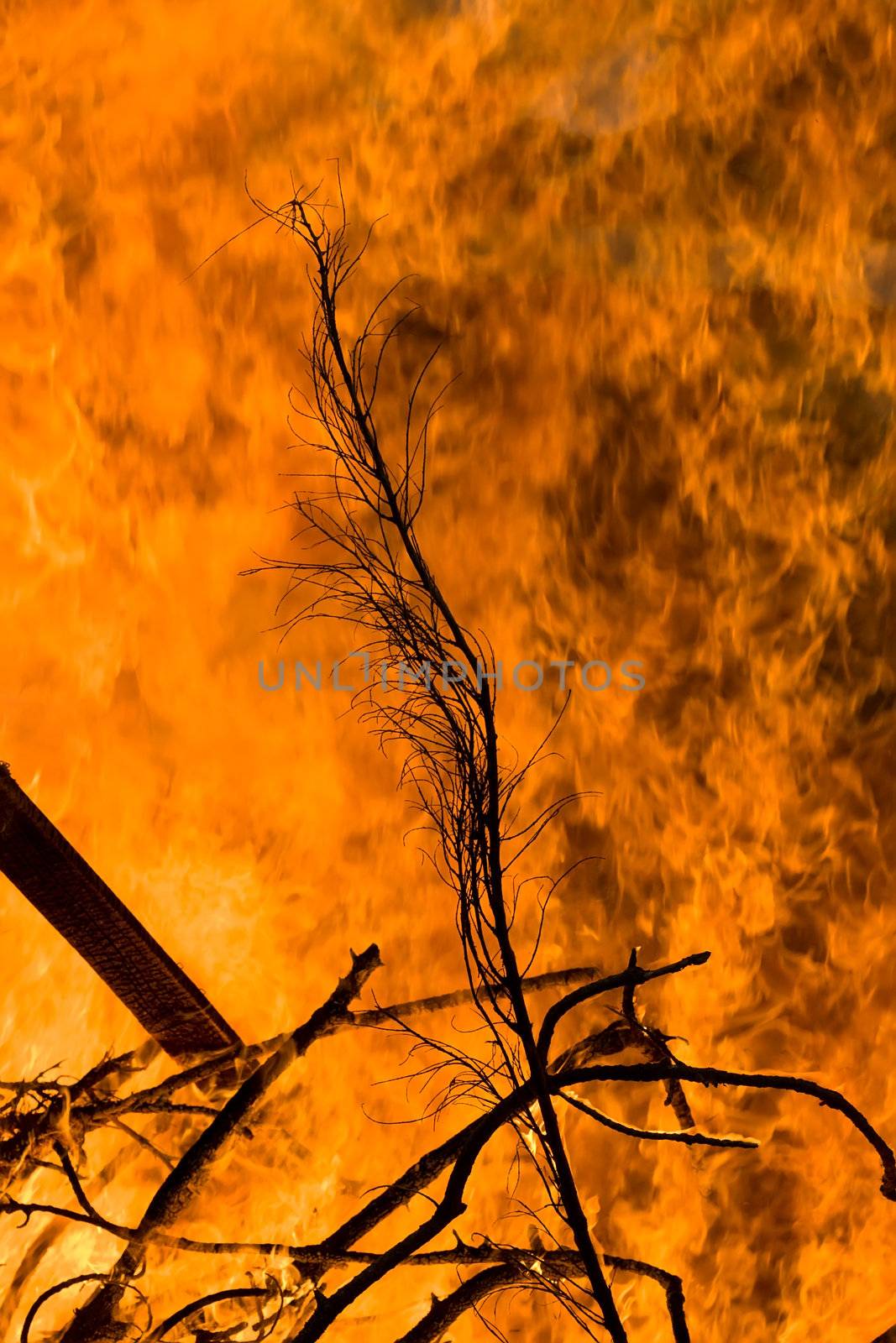 A bonfire burns with intense heat and passion