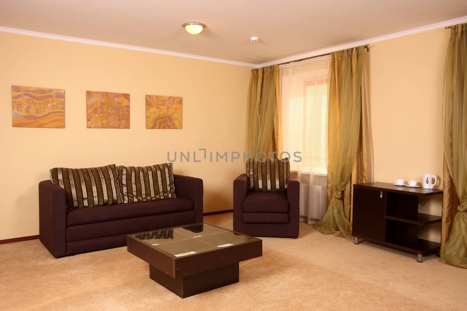 Beautiful modern hall with a sofa, an armchair, and a small little table in the room centre