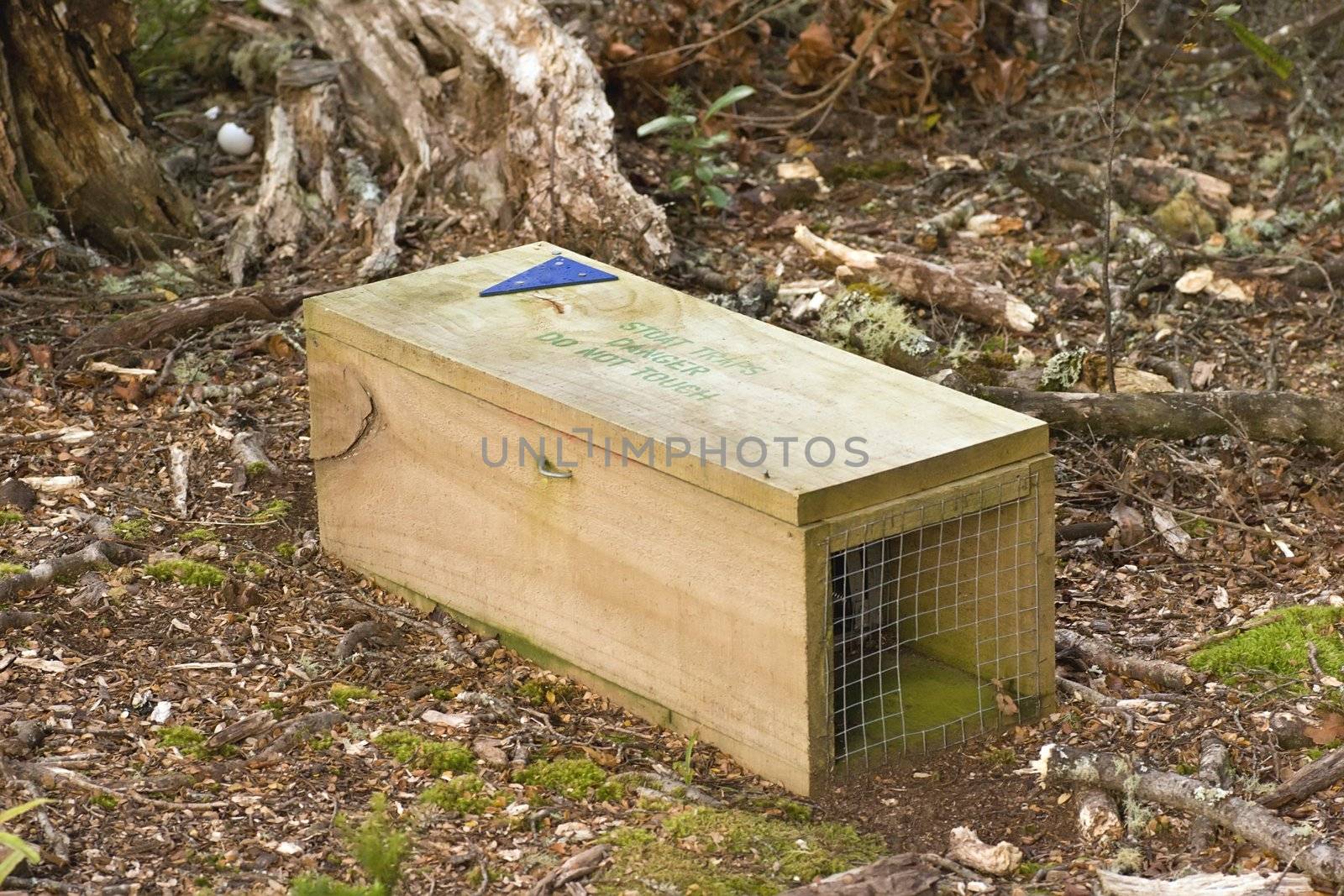 A stoat trap laid in Boundary Stream Reserve, Hawke's Bay, New Zealand. Stoats are a pest in New Zealand as they are not native and eat the eggs of the Kiwi - an endangered flightless bird. The kiwi have been reintroduced to the Boundary Stream Reserve in an attempt to save the Kiwi from extinction. The traps are laid with chicken eggs as bait.