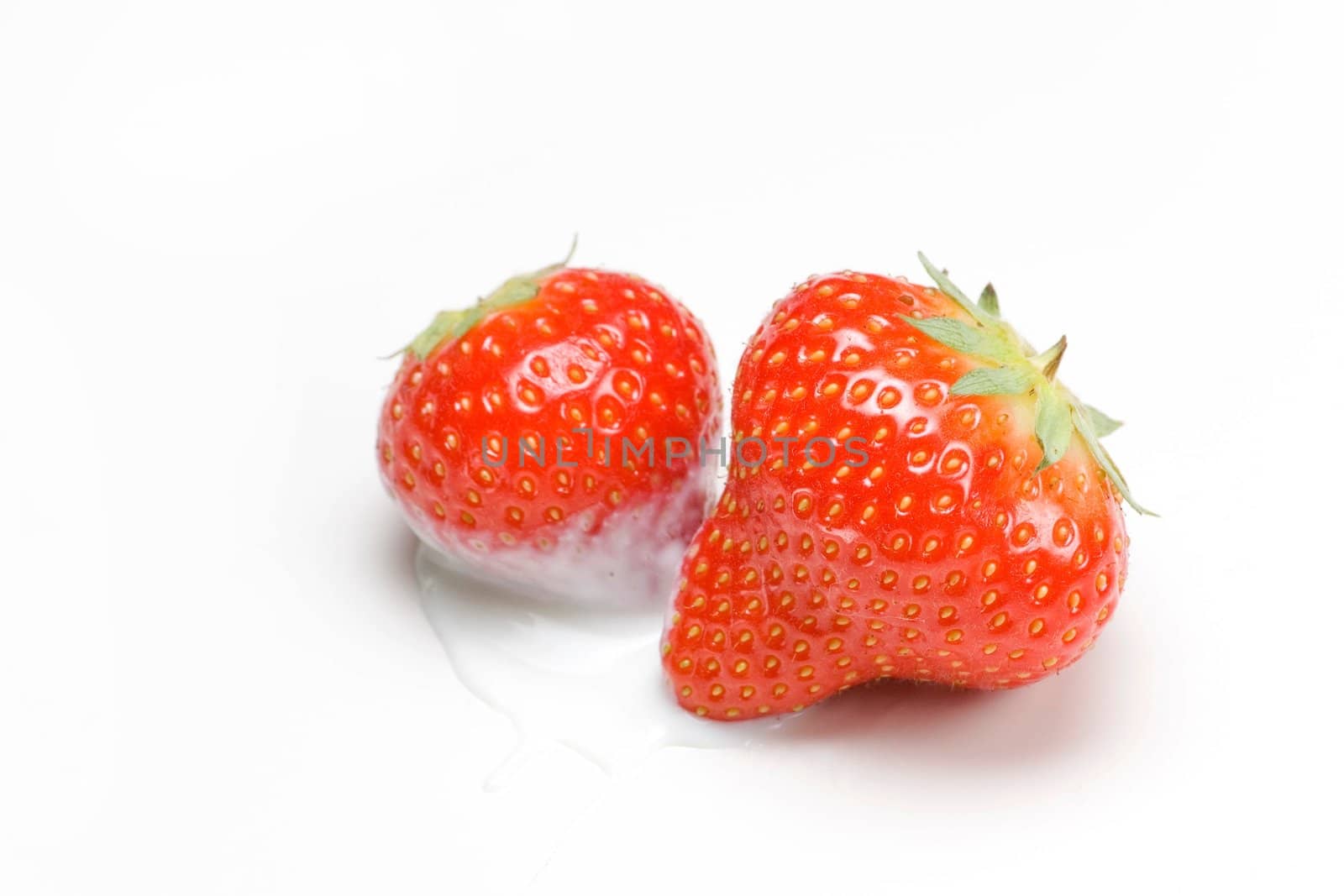 Red strawberries isolated on white dipped in yoghurt