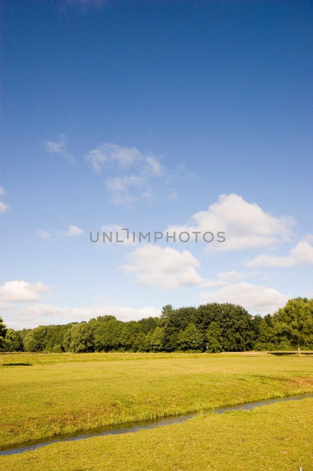 Summer countryside view of a Dutch field
