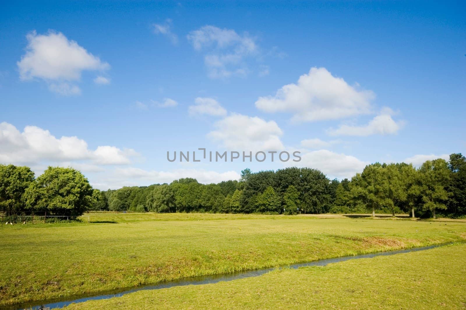 Summer countryside view of a Dutch field