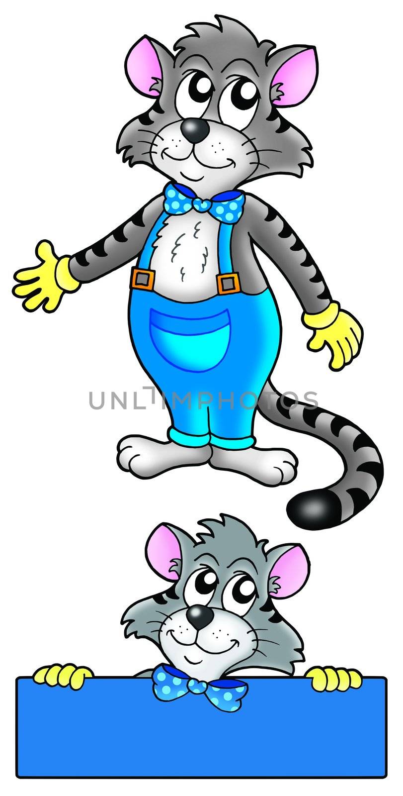 Cat in overalls - color illustration.
