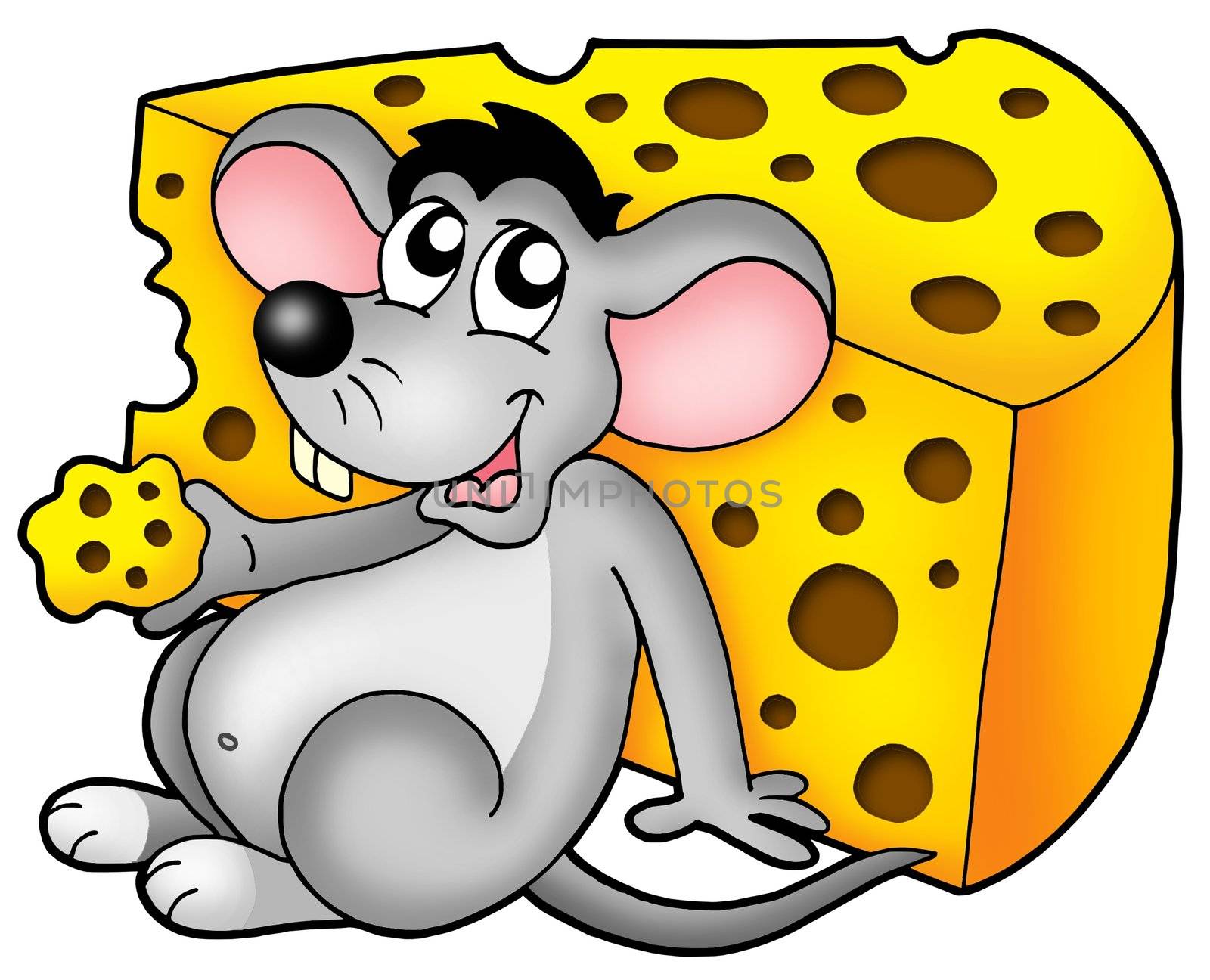 Cute mouse eating cheese - color illustration.