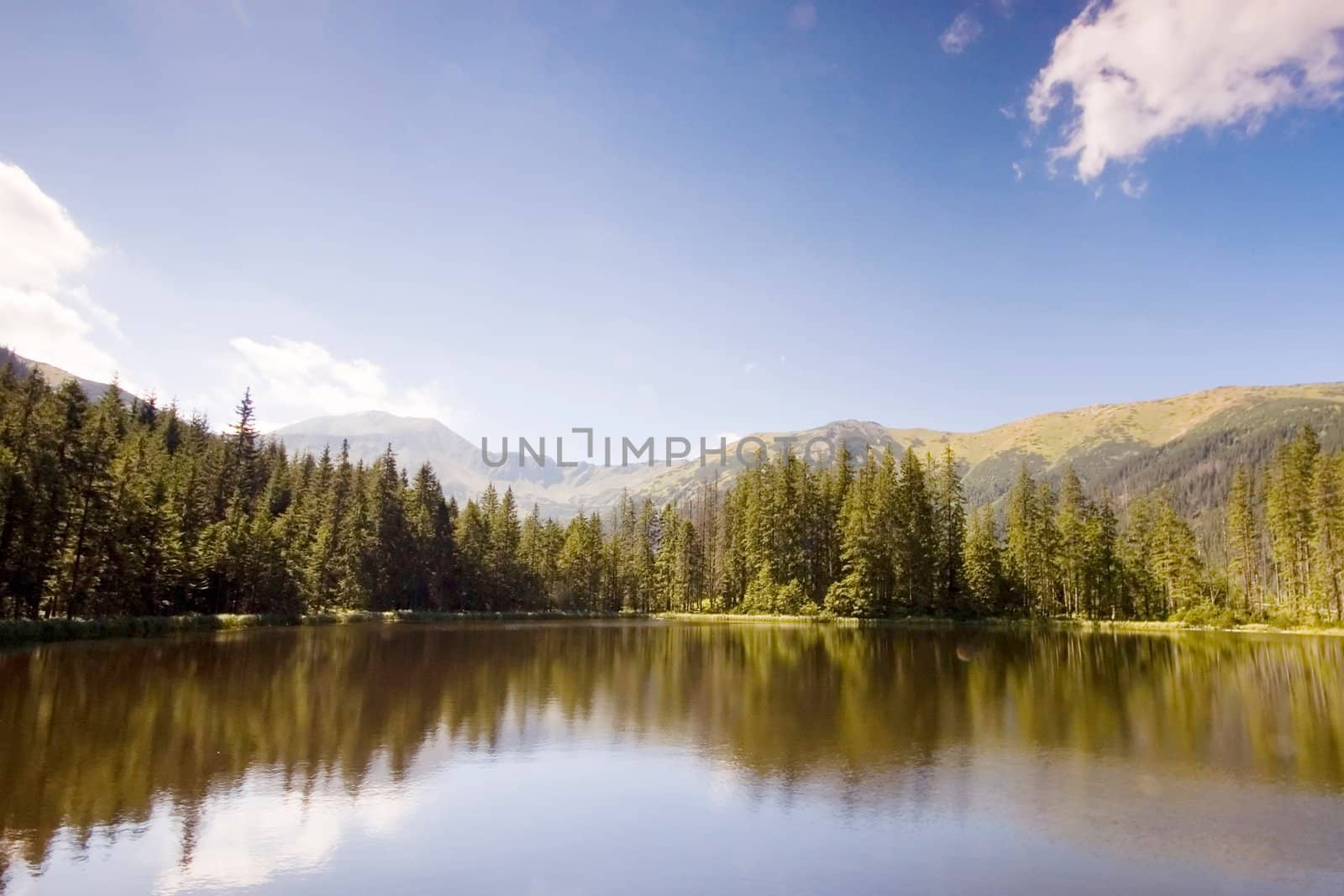 Mountain lake in Polish Tatras reflecting a forest