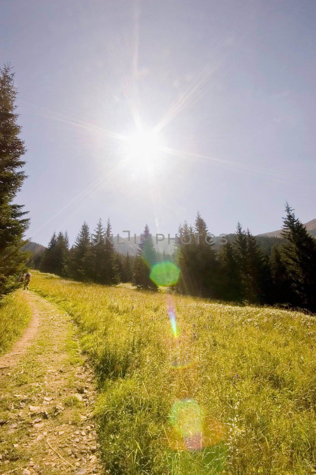 Pathway in Polish Tatra mountains in Summer