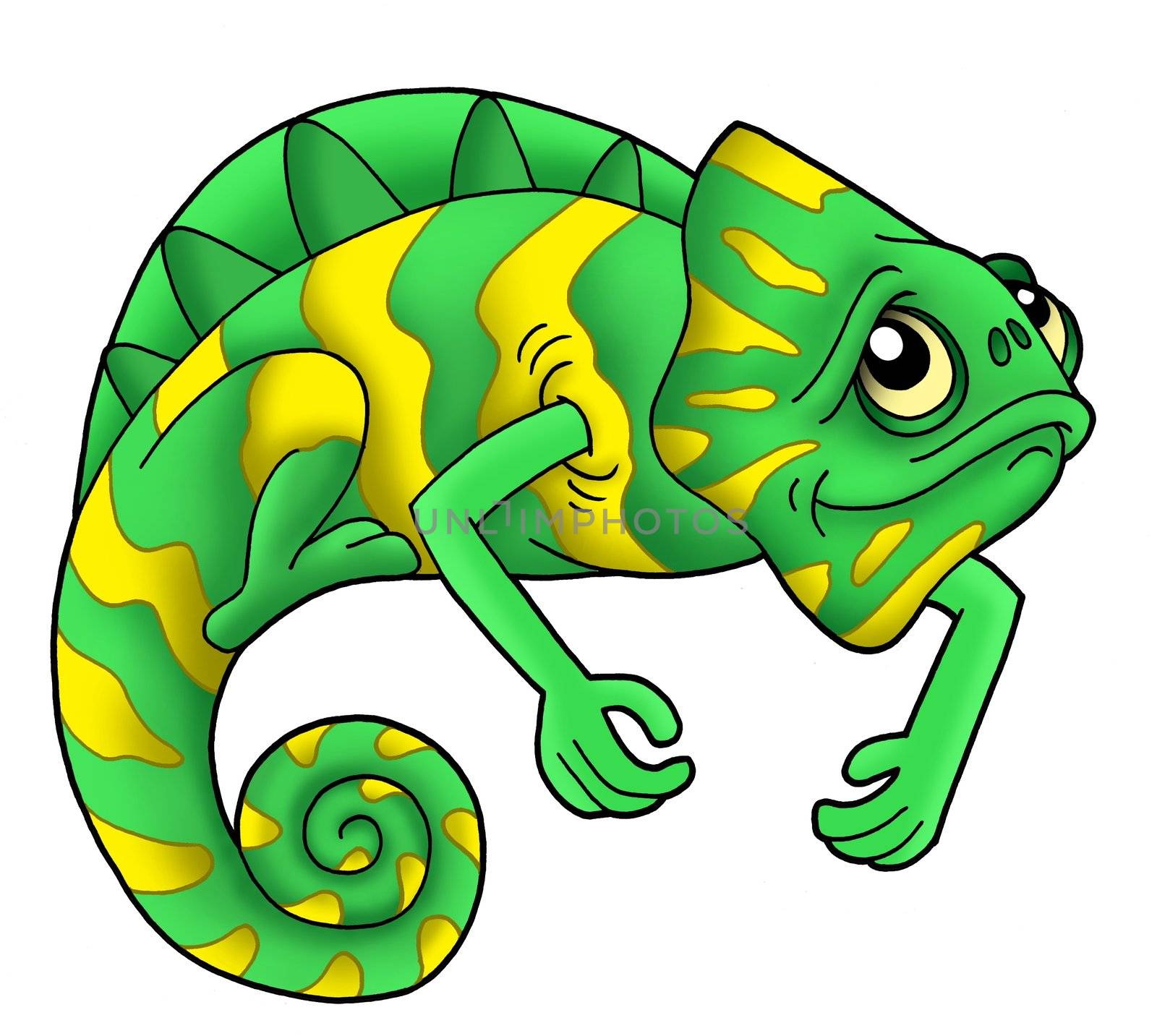 Green chameleon on white background - color illustration.