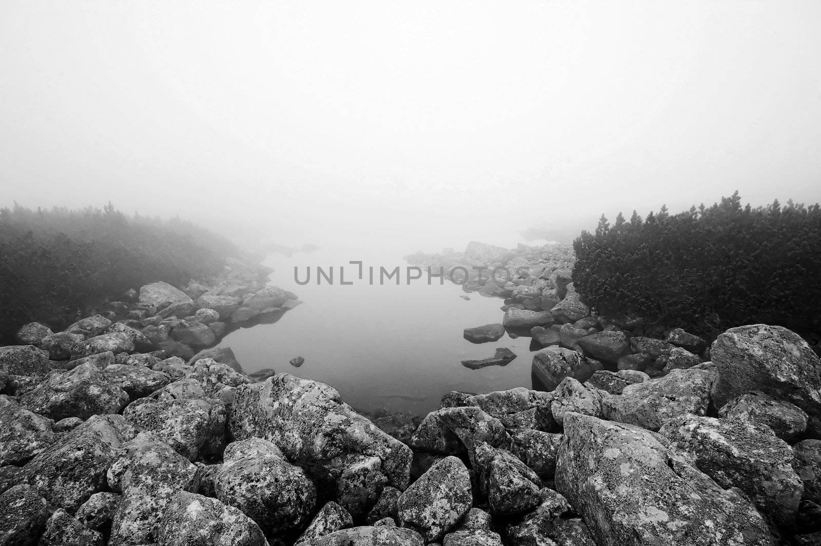 Mountain lake covered in mist