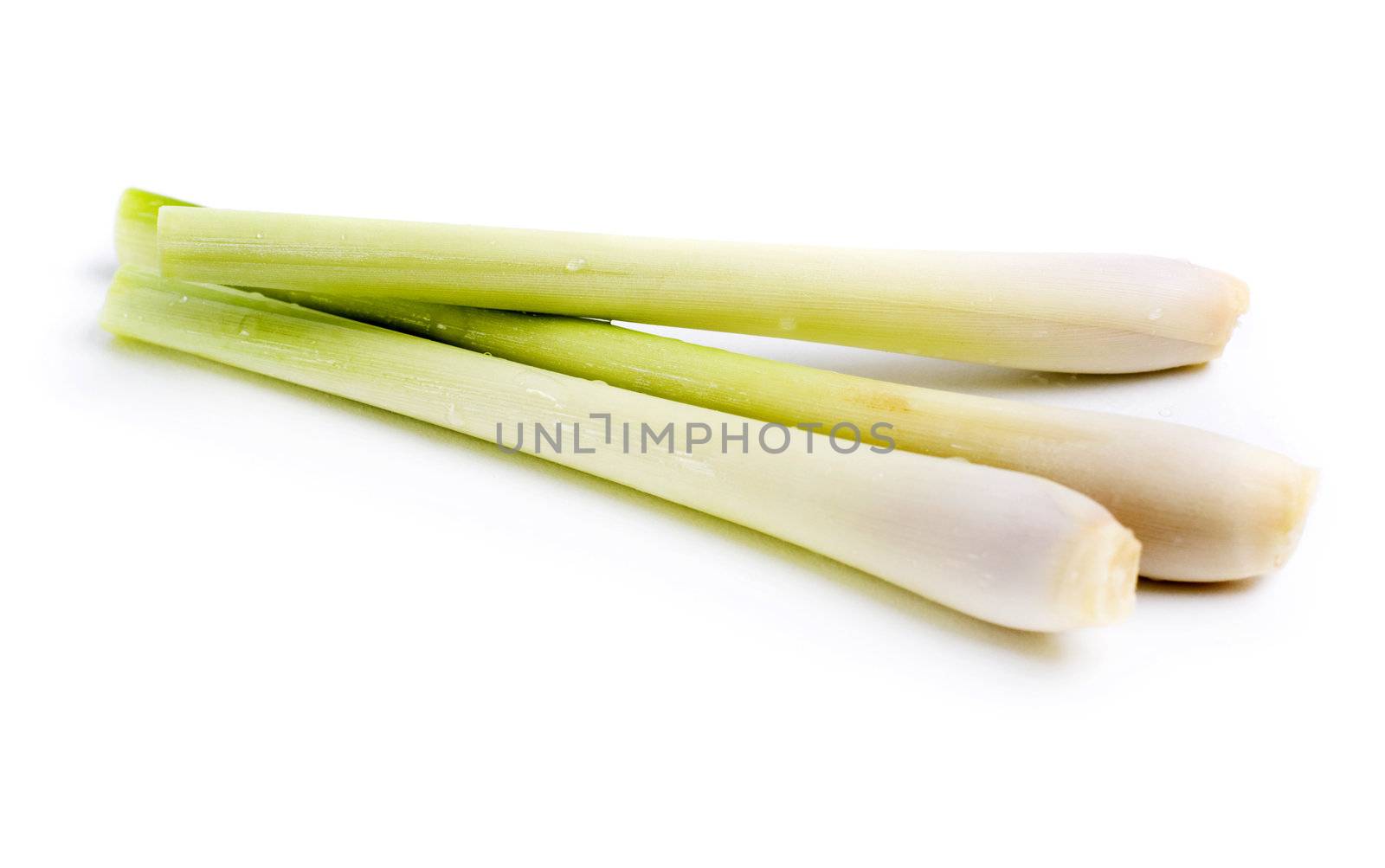 Fresh Lemon Grass on white background