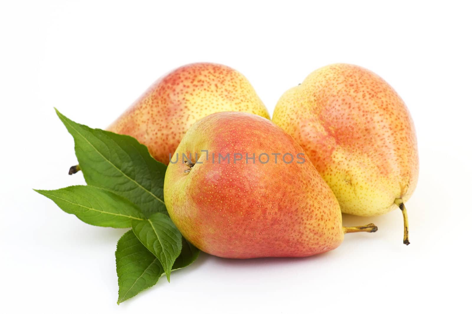 fresh pears