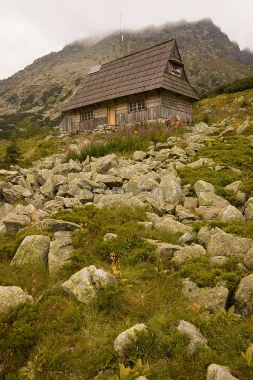 Wooden cottage in Polish Tatra mountains