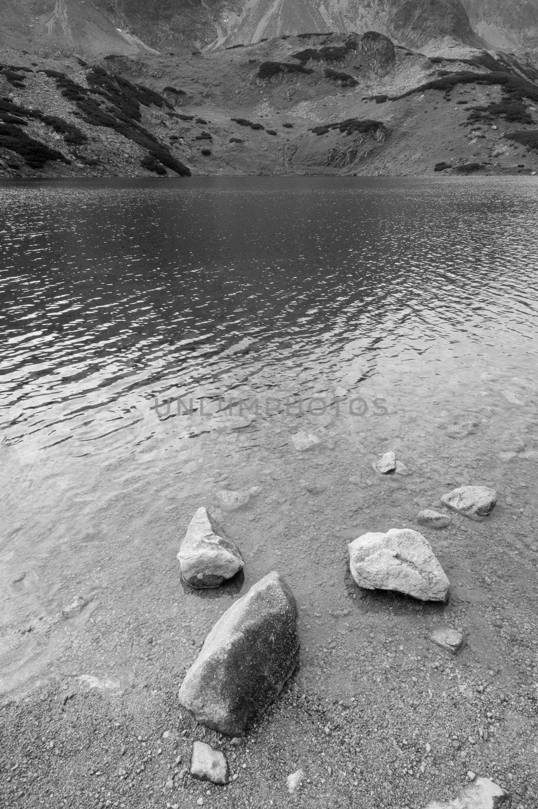 Mountain lake shore in Polish Tatra region