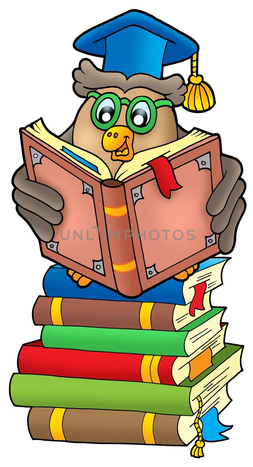Reading owl teacher on books - color illustration.
