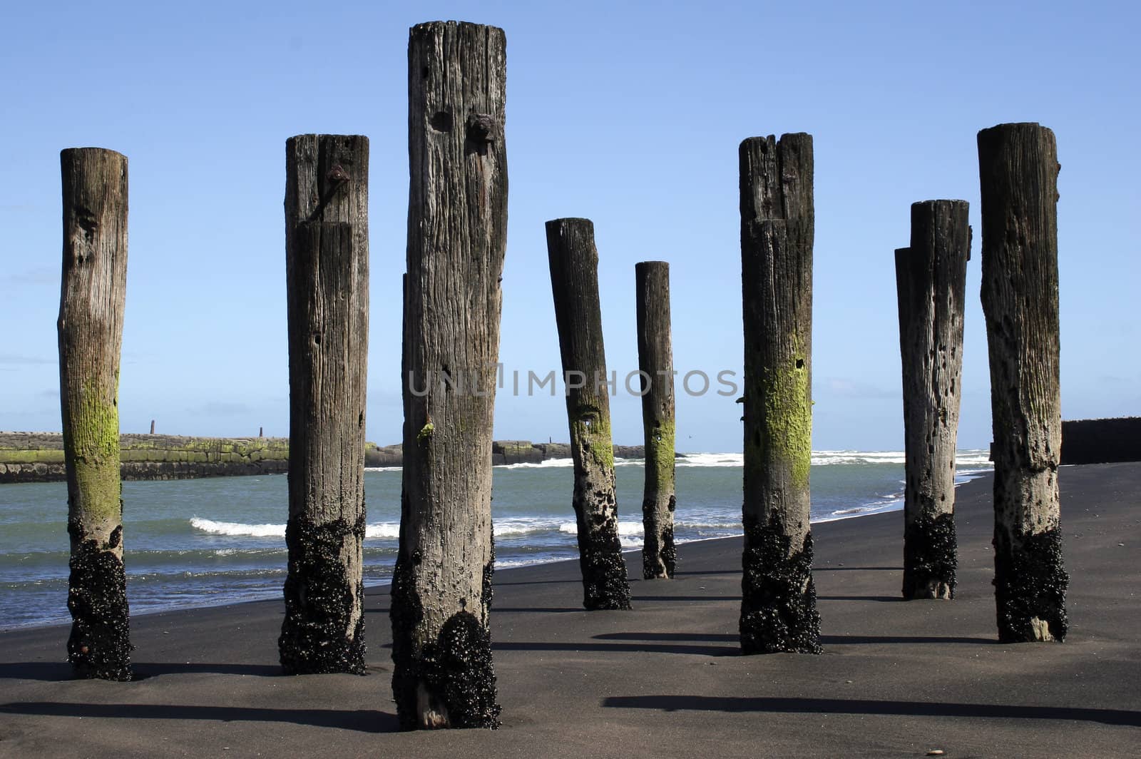 poles in the sand at Patea, Taranaki, New Zealand