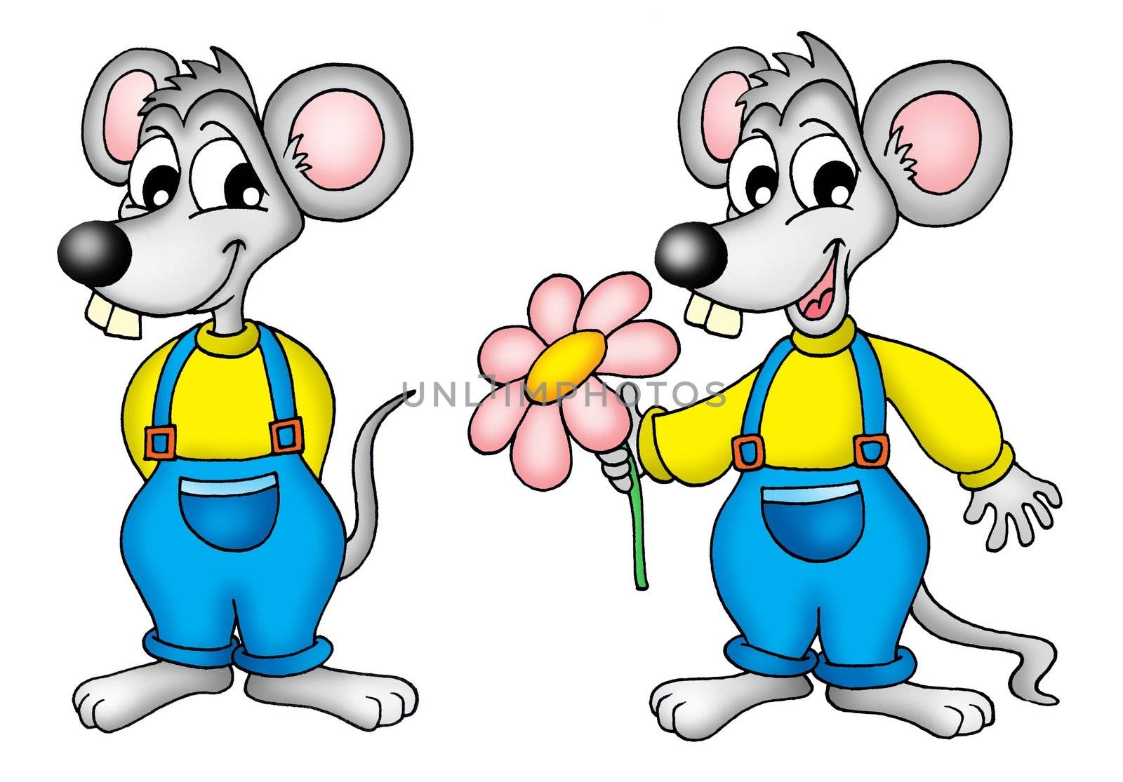 Two mouses with flower by clairev