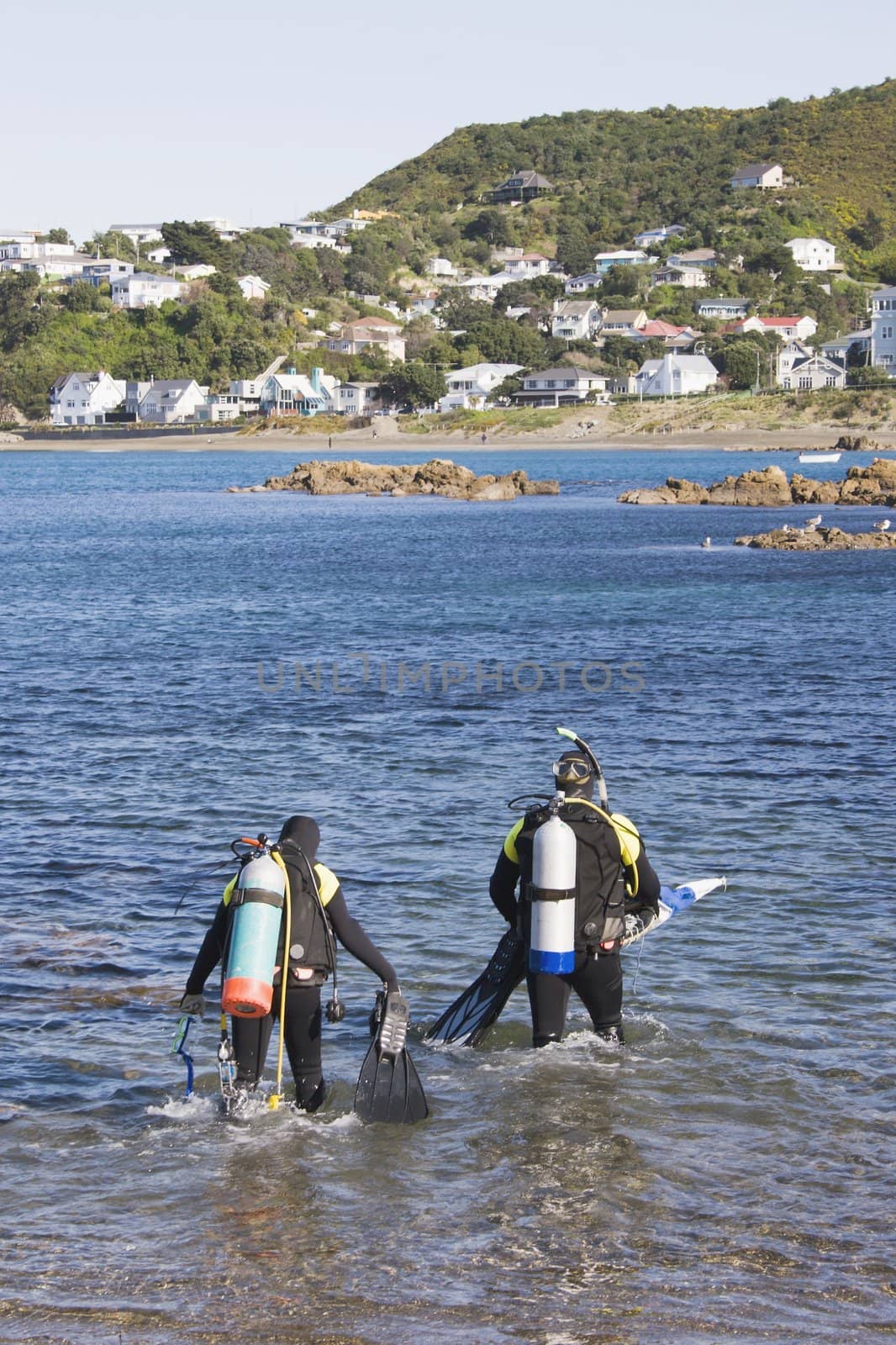 Entering the water at Island Bay, Wellington, New Zealand
