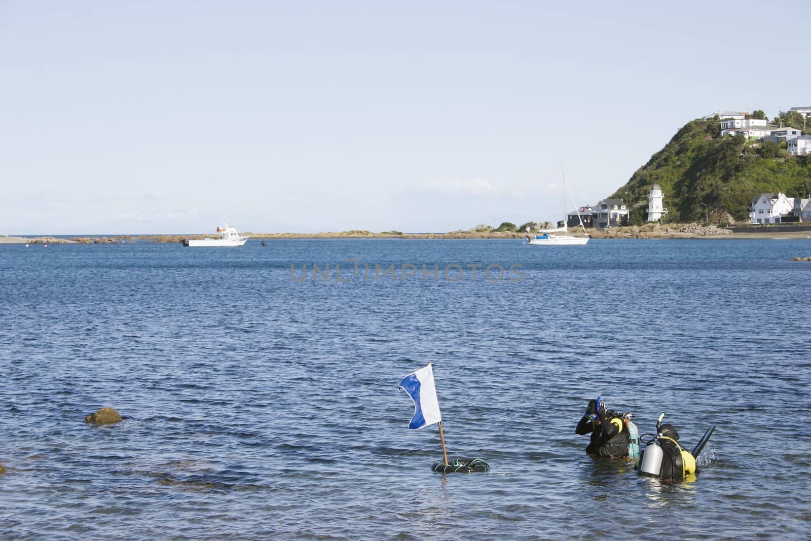 Scuba Diving at Island Bay, Wellington, New Zealand