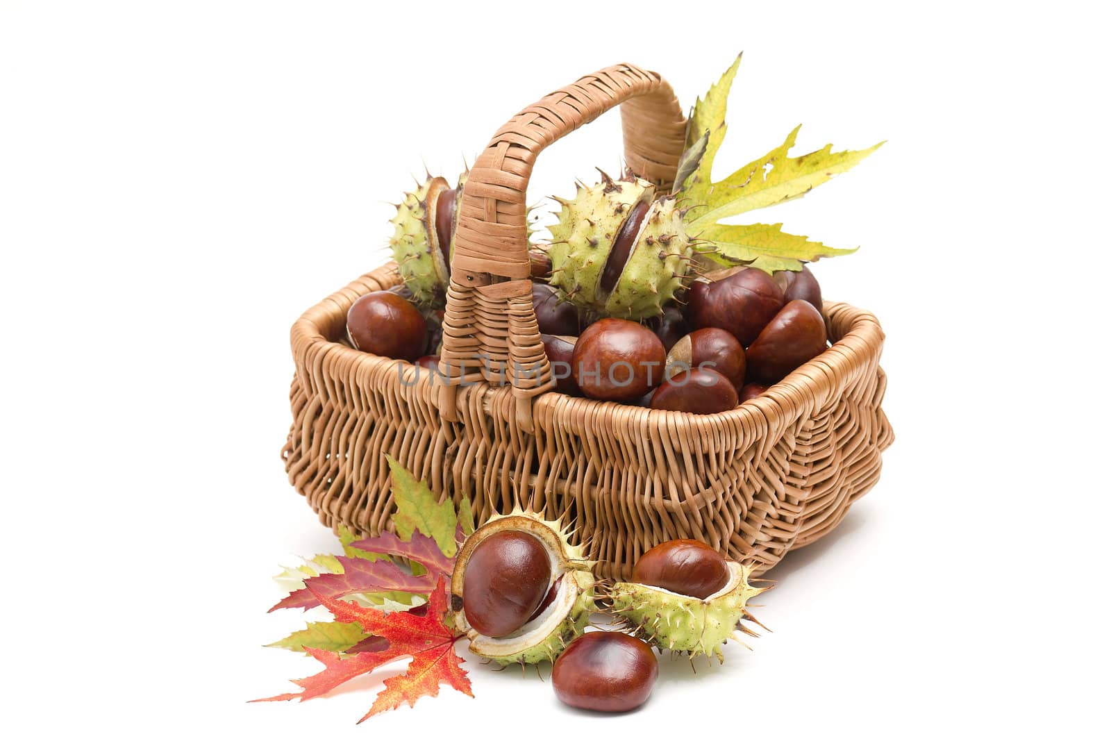 basket full of chestnuts and autumnal leaves