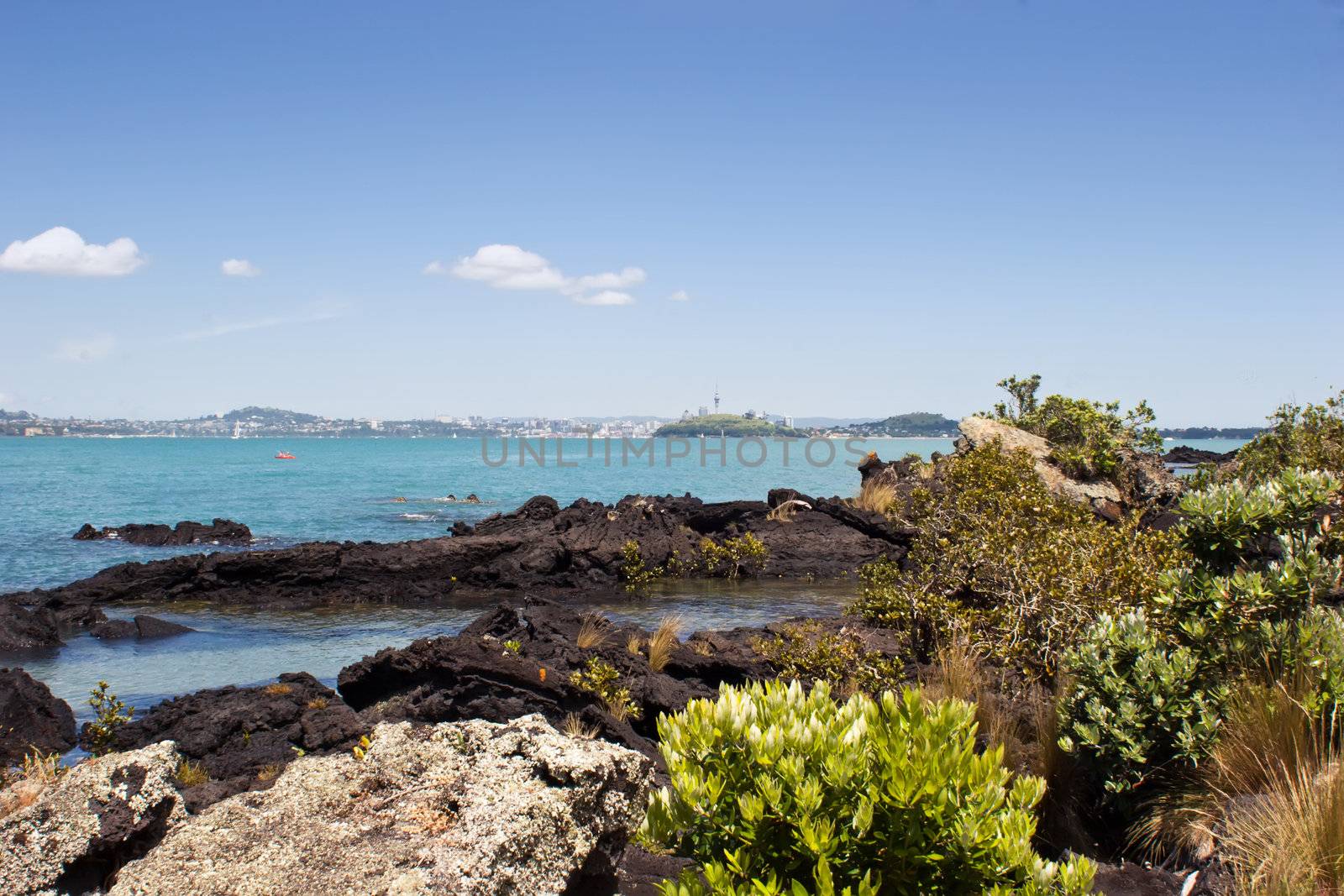 The view from Rangitoto Island in the Hauraki Gulf, New Zealand. Auckland City in the background.