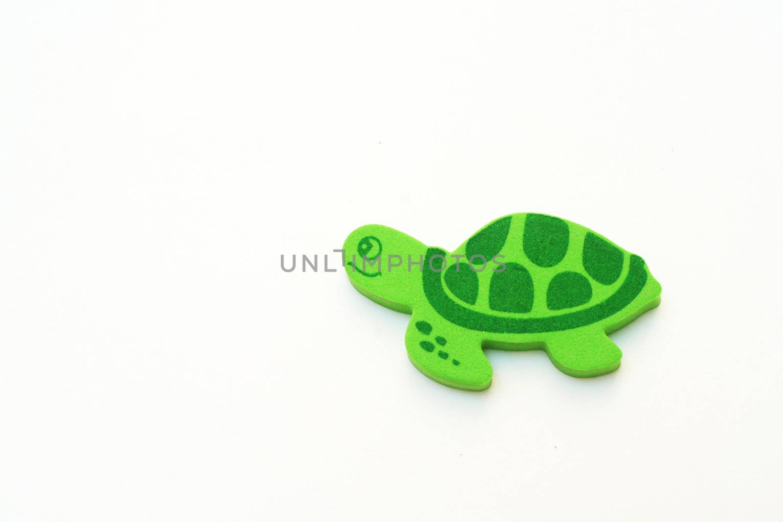 green turtle isolated on a white background