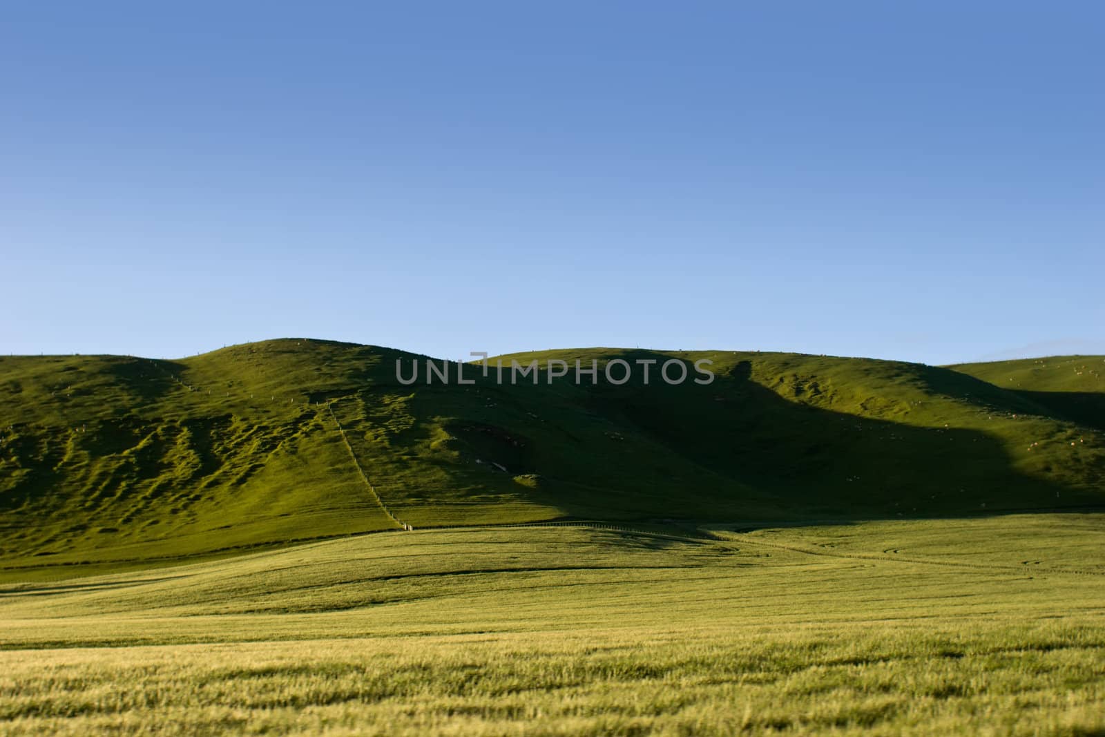 Farmlands and rolling hills in rural Hawke's Bay, New Zealand