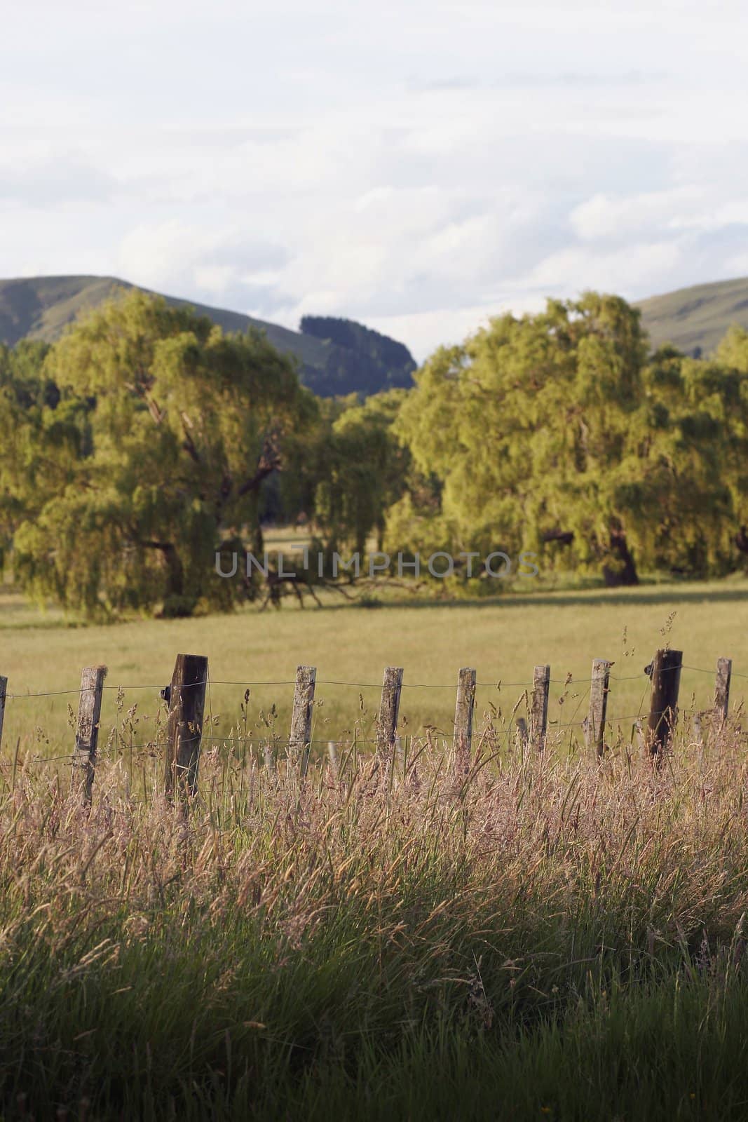 a rural scene in Hawke's Bay, New Zealand