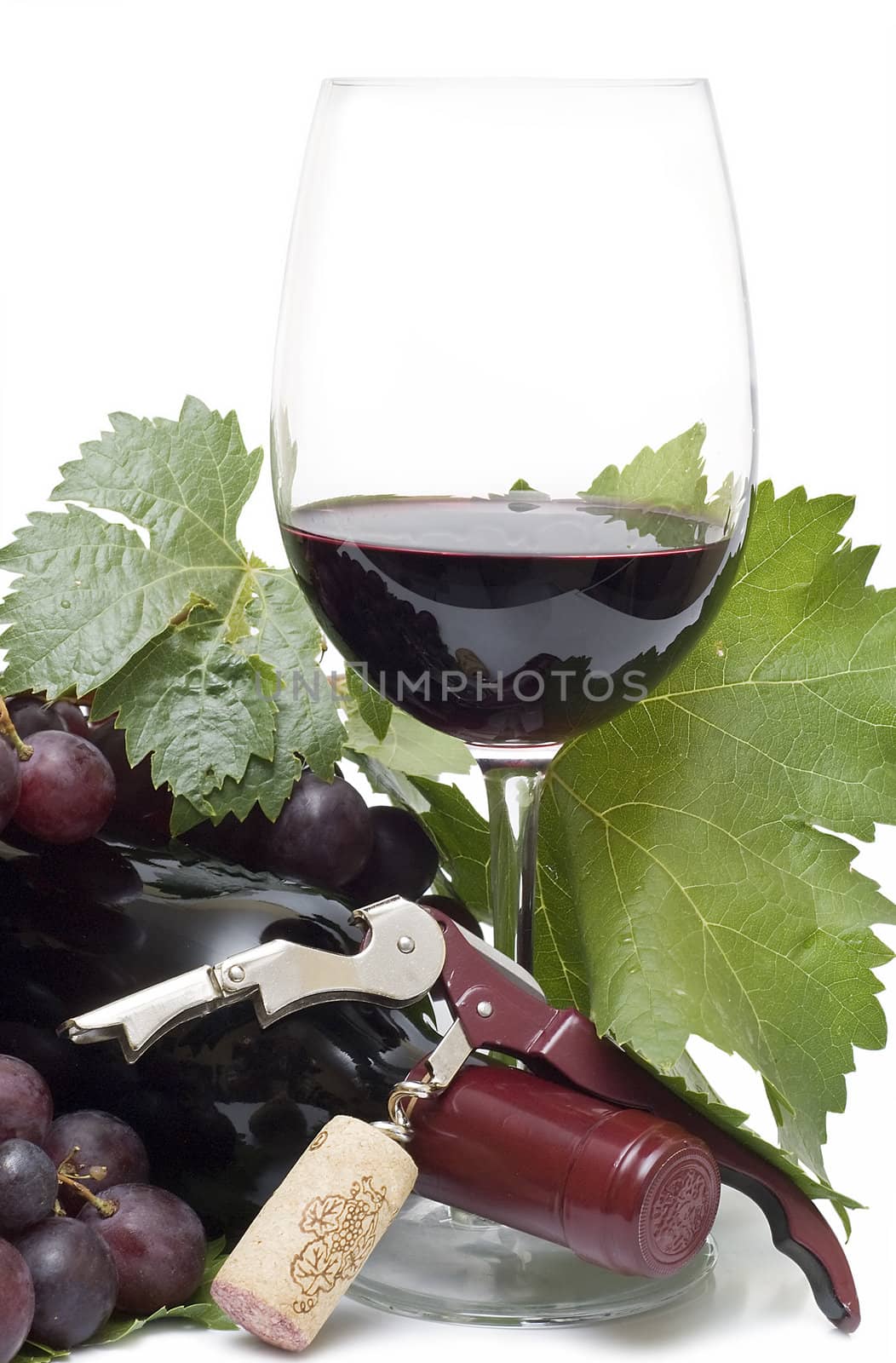 Still life abour red wine with a white background.