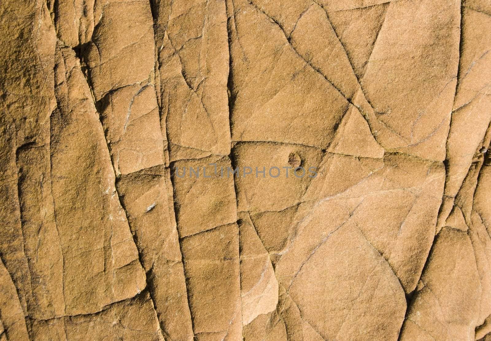 texture of a boulder at the beach