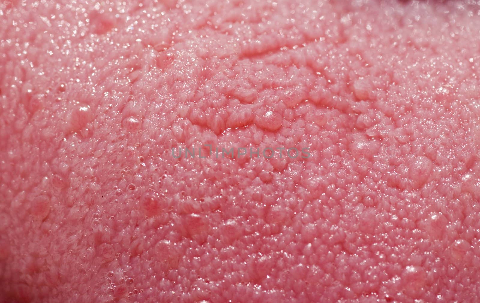 A macro shot of the tongue - kind of gross when you look closely.