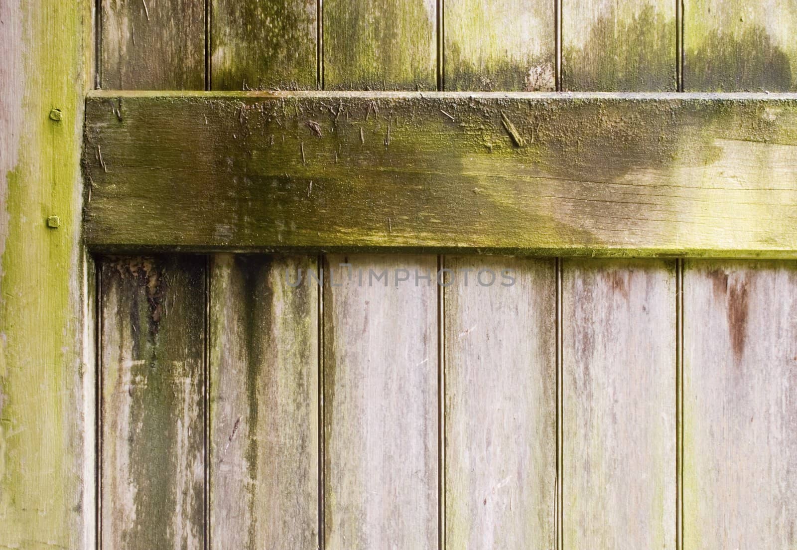 A shed door with patina from water and weather