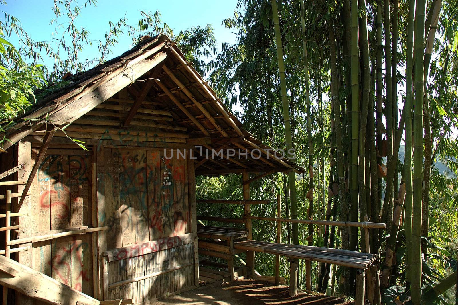 Village house - Rural sweet home with bamboo trees beside it