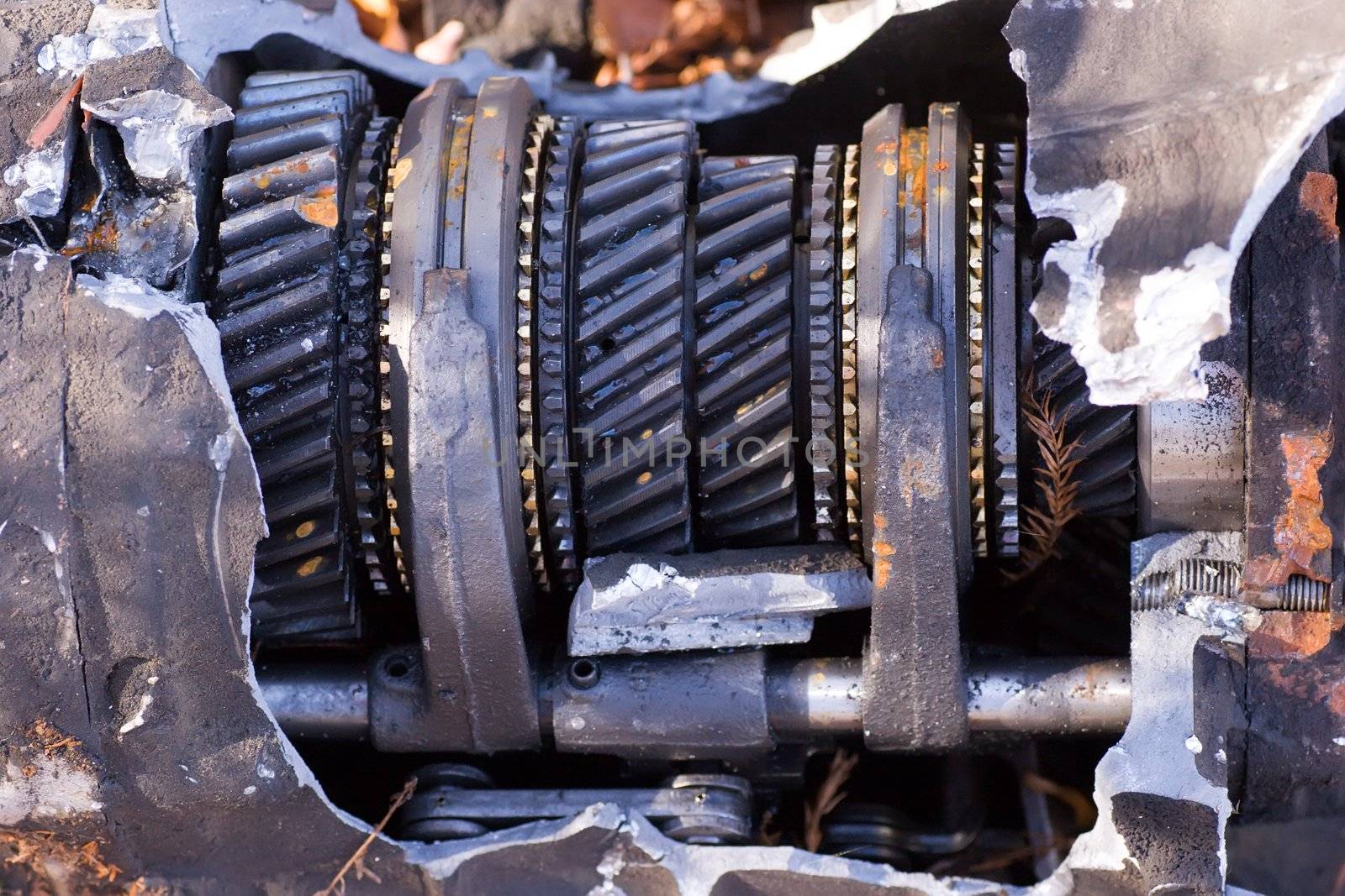 I found this old gearbox dumped in a rest area on the side of the road - I like how it was all smashed open showing it's cogs and wheels