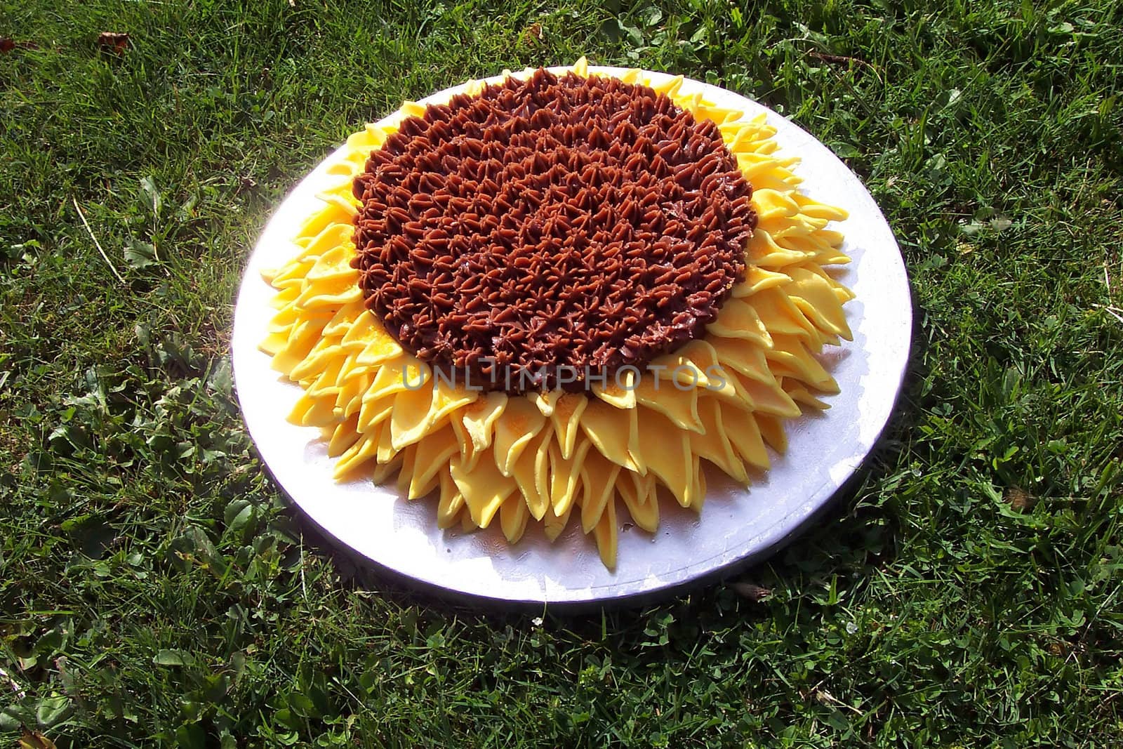 A sunflower cake on a lawn