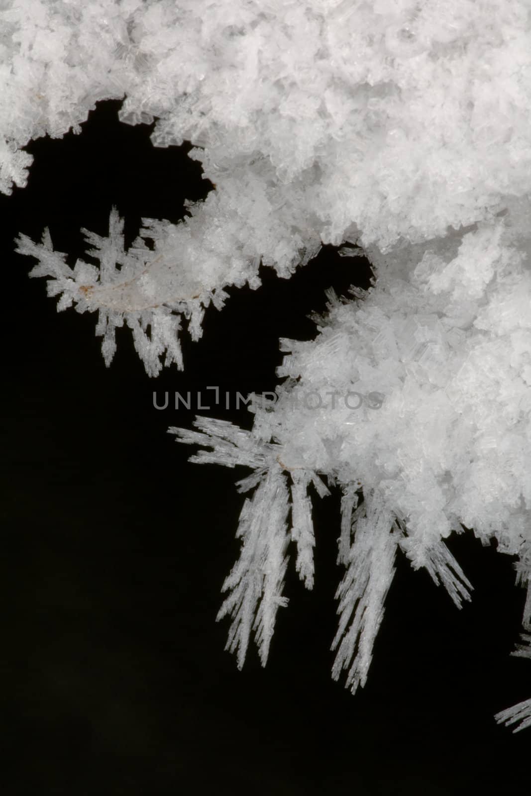 Snowcrystal by larshi