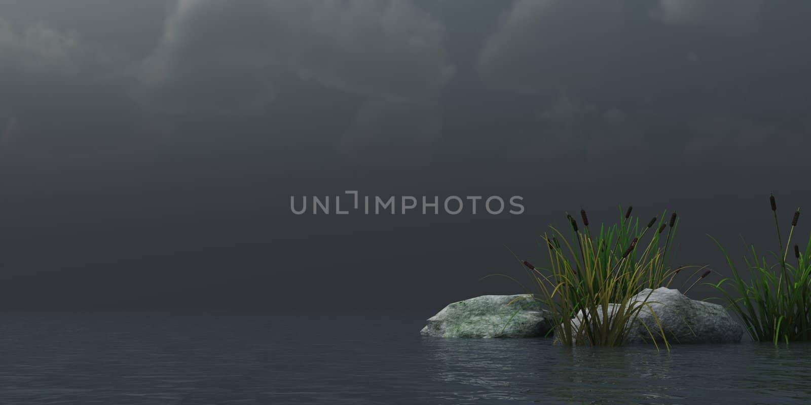 reed and stones on water under dark sky - 3d illustration