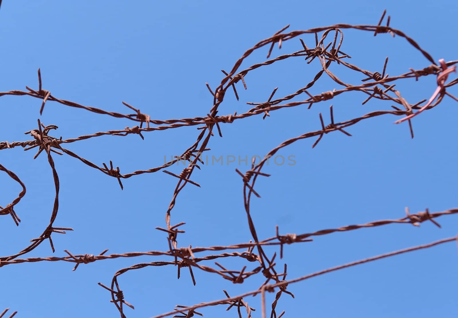 Twisted strands of barbed wire on sky background