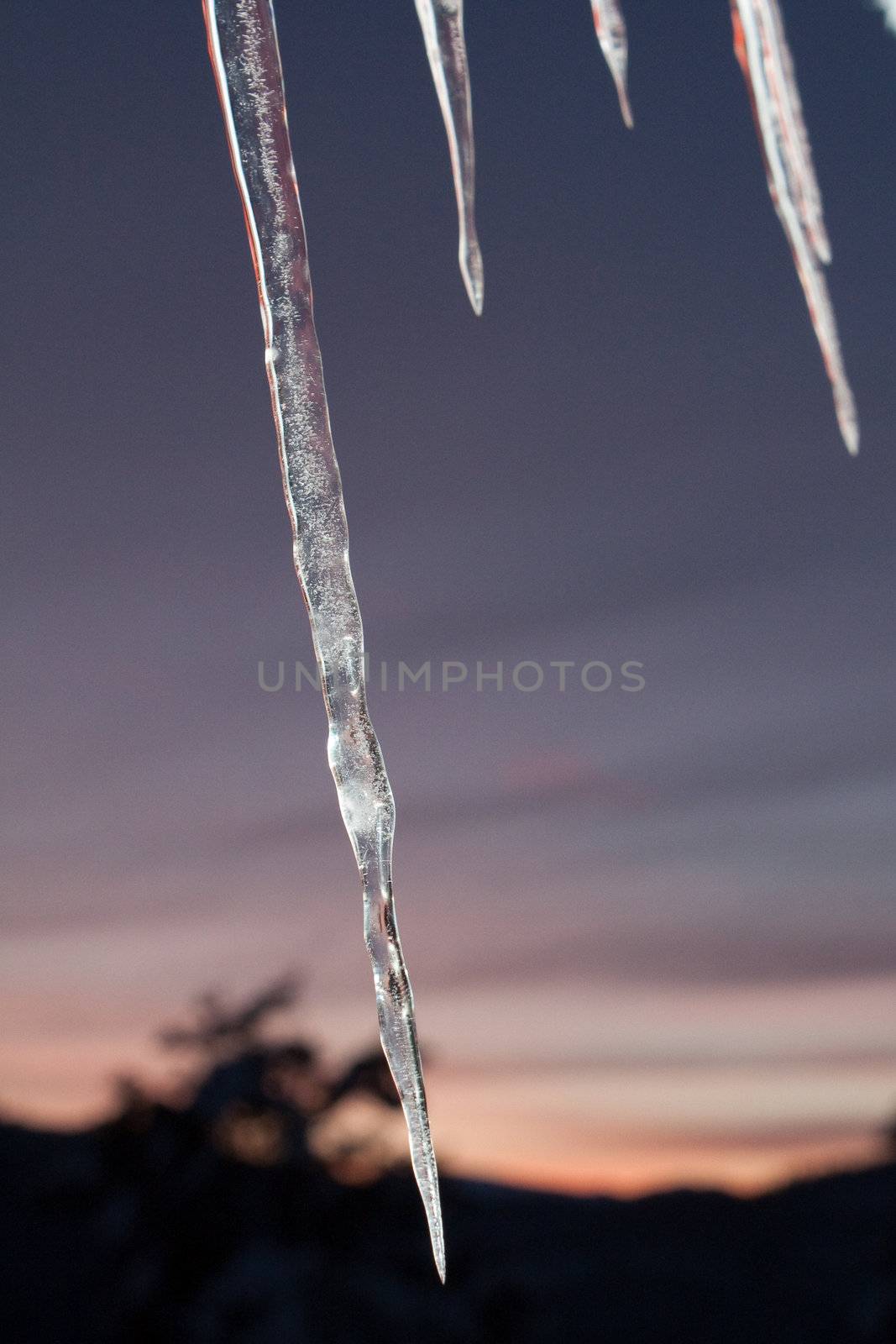 Icy sunset