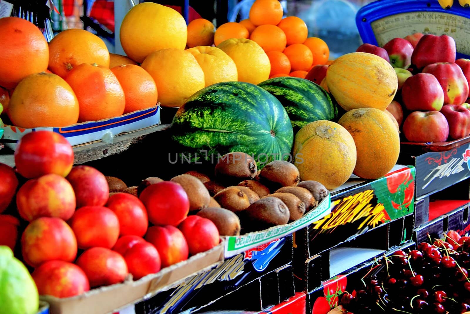vegetables and fruit in the market