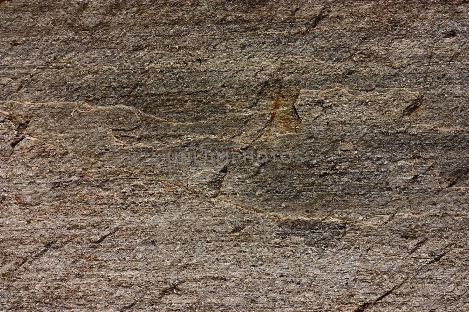 Surface of the stone in shades of brown