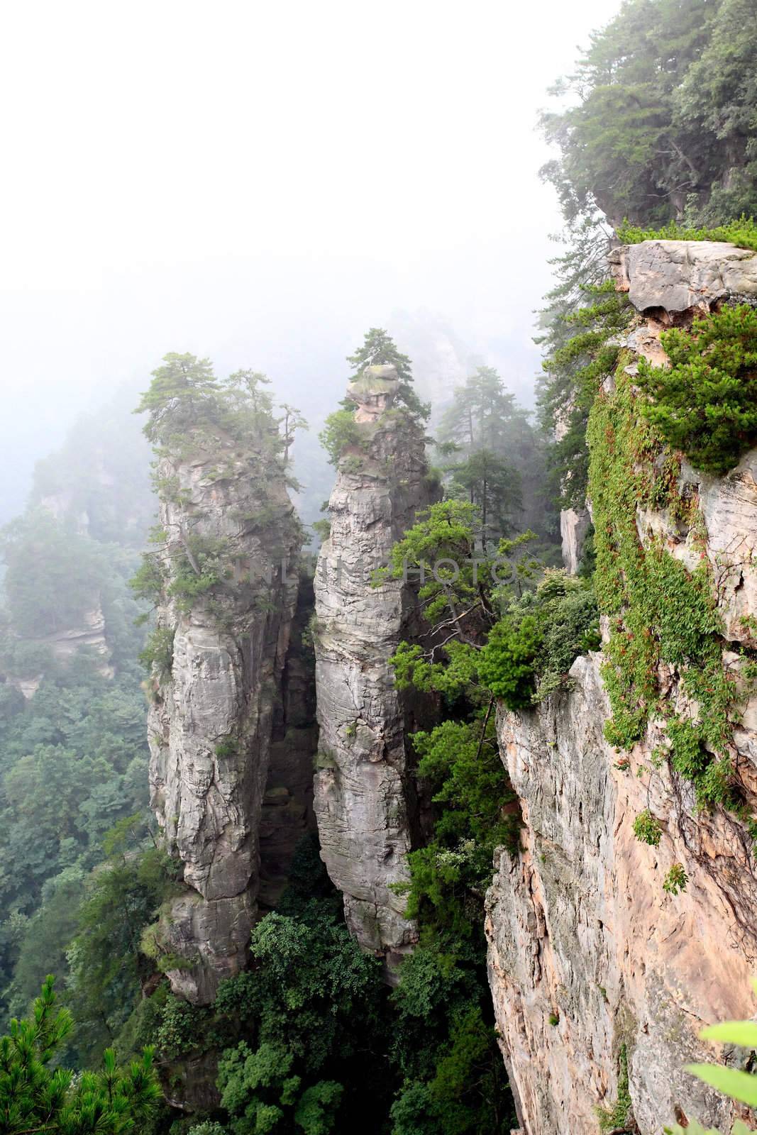 The scenery of the China national forest park - Zhangjiajie