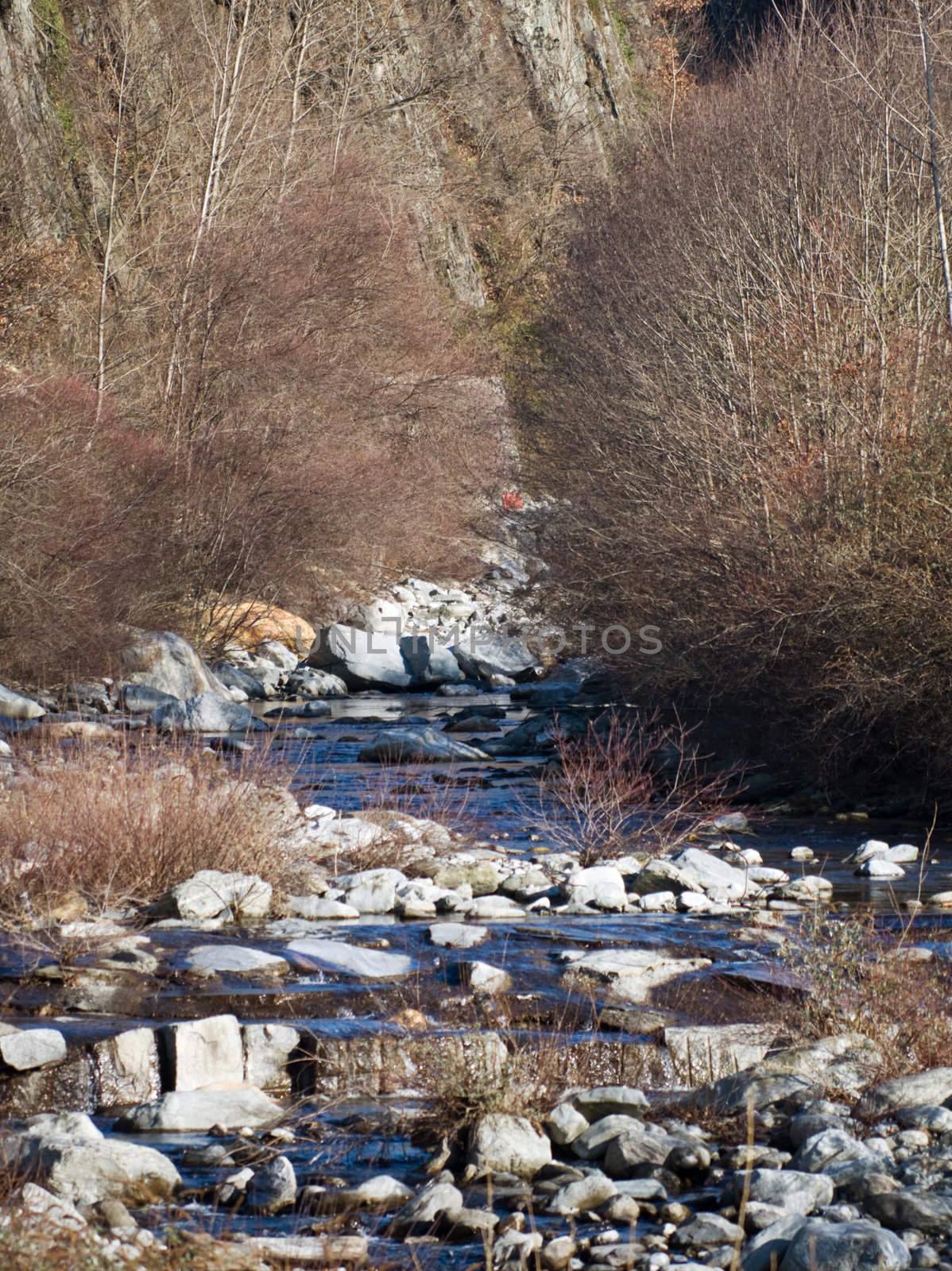 Mountain creek in autumn with bare trees